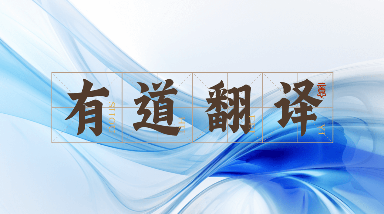 有道翻译验证与异常处理