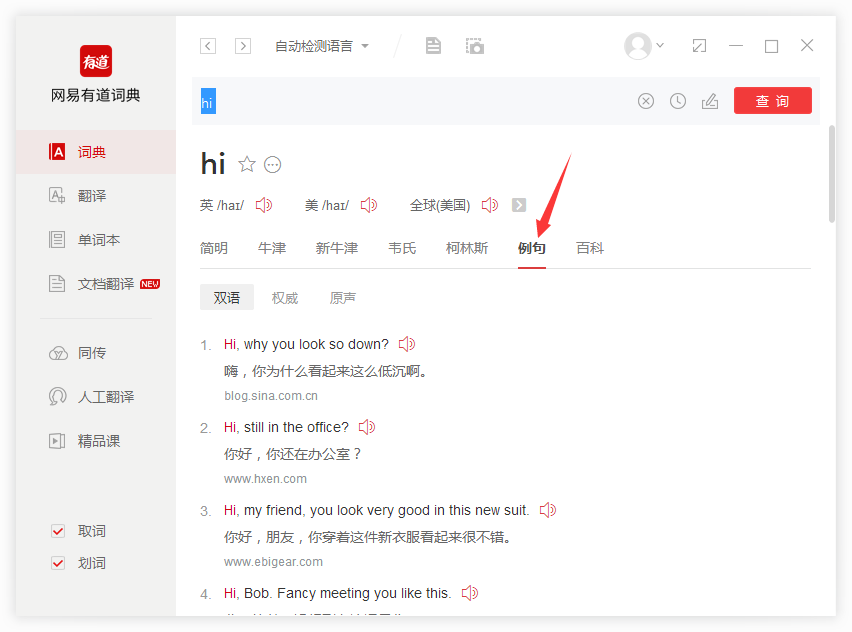 有道翻译专业术语处理