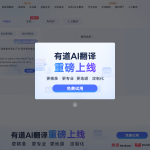 有道翻译怎么翻译长文本？