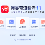 有道翻译为什么显示网络错误？